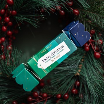 Shower Steamer x Mini Lip Balm Bon Bon | Merry Christmas Shower Steamer x Mini Lip Balm Bon Bon | Merry Christmas